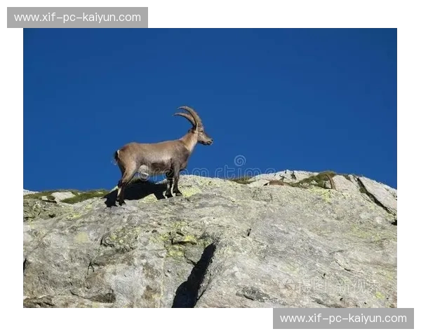 登山资讯—探索山野的新视界